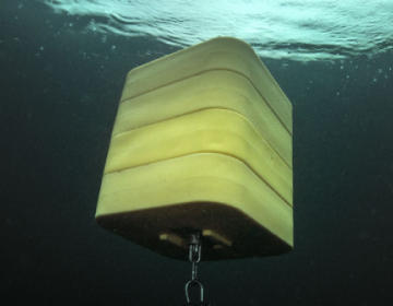 Sub Surface Buoy